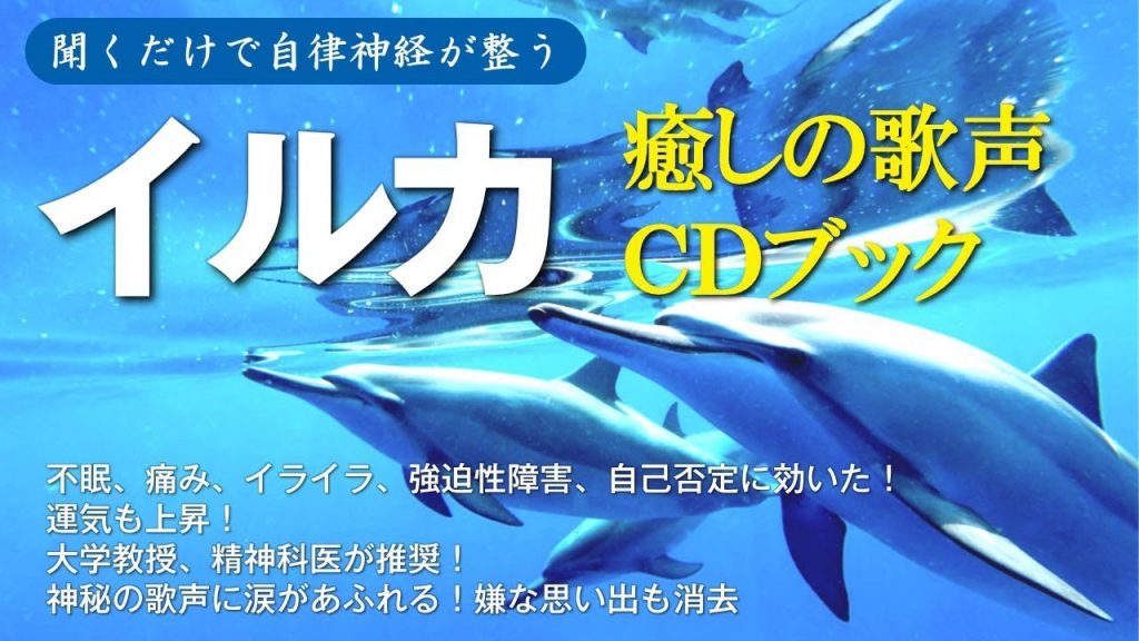 「イルカ　癒しの歌声CDブック」試聴