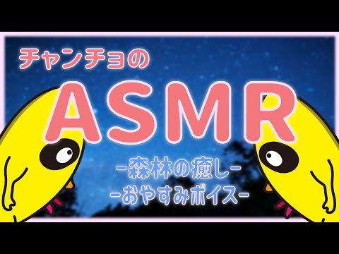 チャンチョの《ASMR》森の中で〜癒しを〜