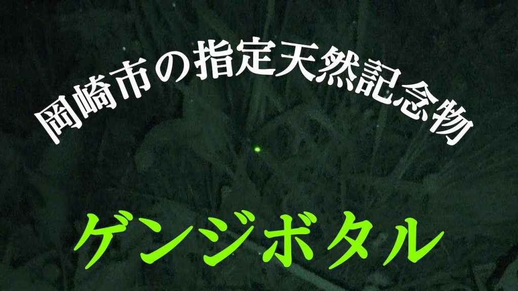 【癒し動画】生まれて初めてホタルを見た人はどんな反応するの？