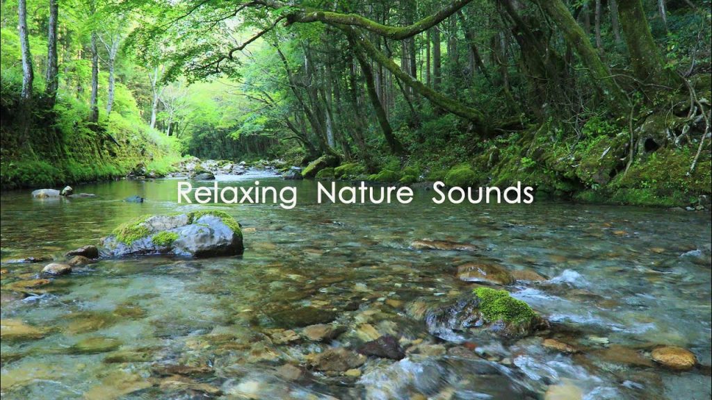 【自然の音と4K 映像】癒しの自然環境音 |  せせらぎの音  鳥の歌声   5時間