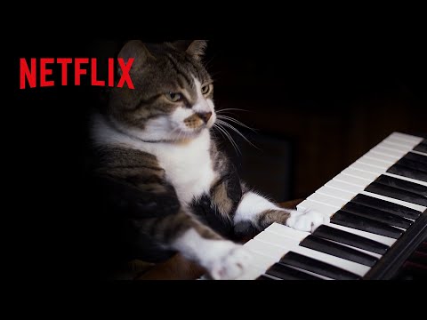 癒し – ピアノを弾く猫がかわいすぎた | キャット・ラブ: ネコに捧げる愛の歌  | Netflix Japan