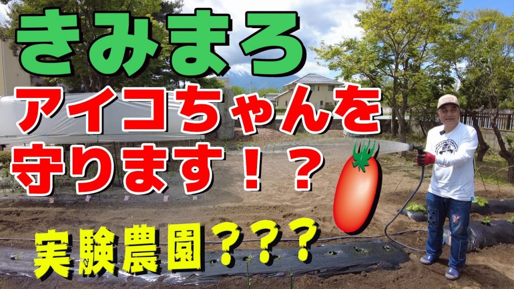 綾小路きみまろ【ポンポコ農園】奮闘記！アイコちゃんを守ります？！