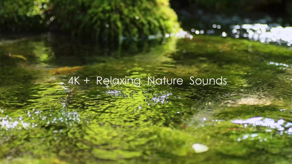 【自然の音と4K 映像】癒しの湧き水の音 | 伏流水 湧き水の音 10時間