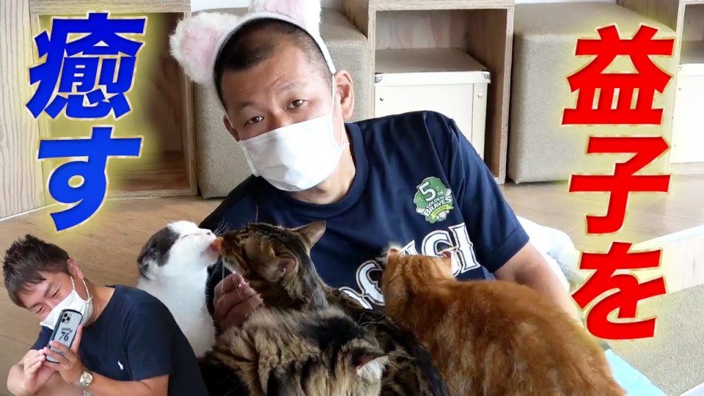 【癒し】猫カフェで癒されるおじさん2人