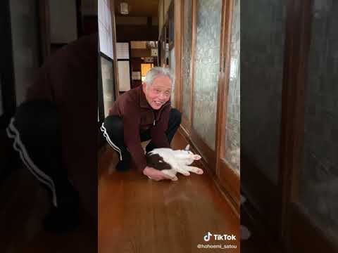 おじいちゃんと猫の戯れが今世紀一の癒し