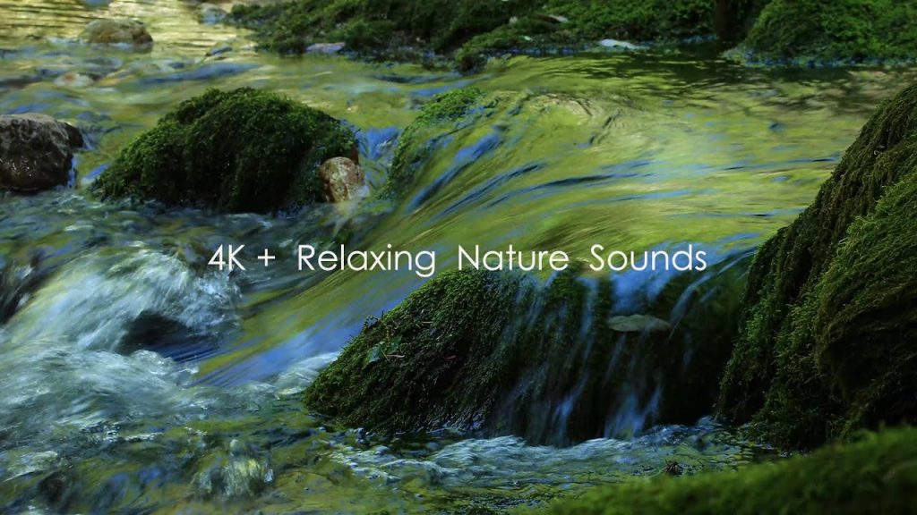 【自然の音と4K 映像】癒しの自然環境音 | せせらぎの音と鳥の声　8 時間