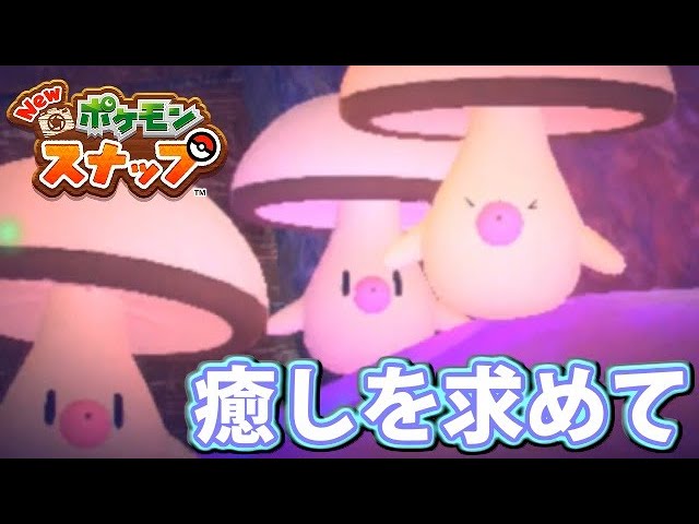 疲れた体に効く！ 癒しを求めて久々にポケモンスナップするぞ！【NEW ポケモンスナップ】