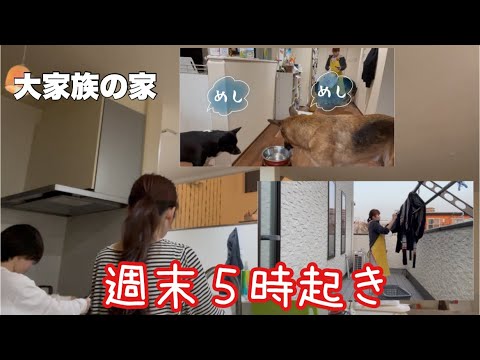 【大家族の家事動画】私は犬に癒しをもらうのです【前編】