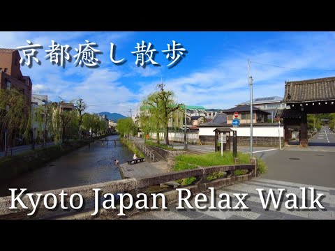 8/10(水)京都癒し散歩 知恩院/白川沿い/古川町商店街/Kyoto walking tour