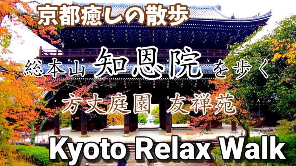 11/1(火)京癒しの散策🍁秋の知恩院ぶらり 方丈庭園 友禅苑 三門/Kyoto relax walk!