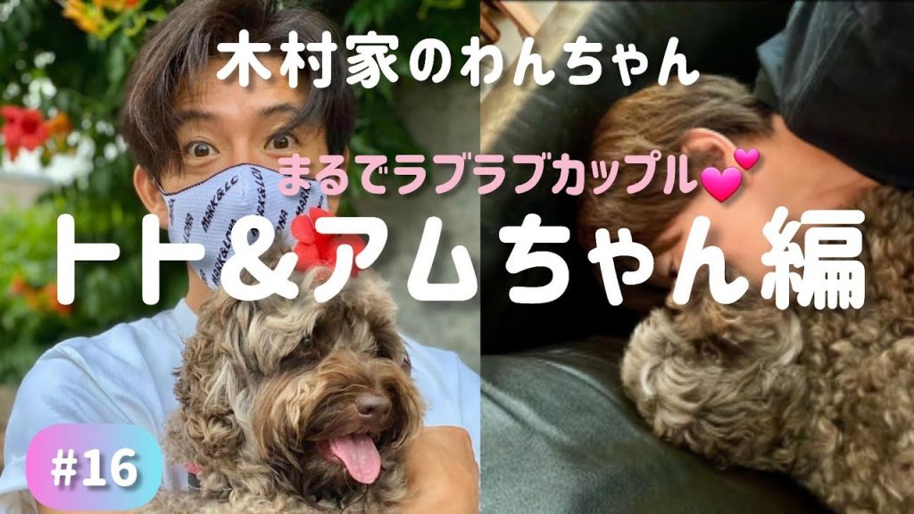 【癒し】木村拓哉&アムちゃん 木村家のアイドルです🐩