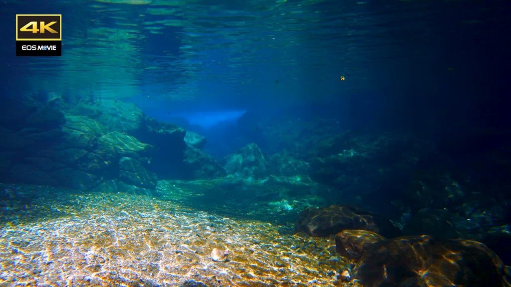 4K  自然環境音　癒しの水中映像＋水中音　Healing underwater footage