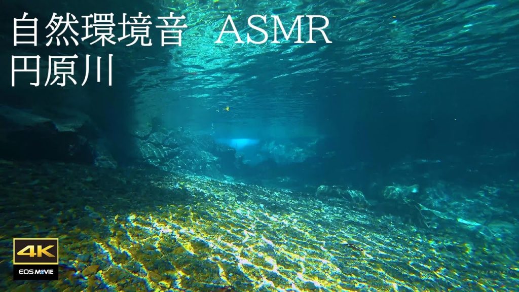 4K  自然環境音　円原川  癒しの水中映像＋水中音　Healing underwater footage