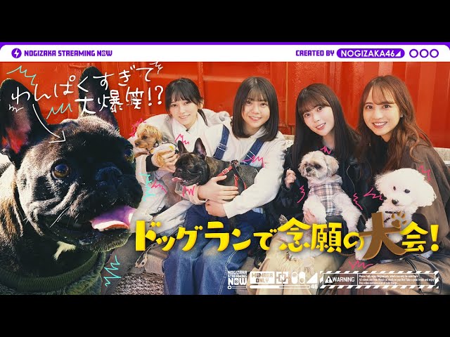 【癒し】メンバーが愛犬とドッグランで遊んでみた！【わんぱく犬の大暴走】