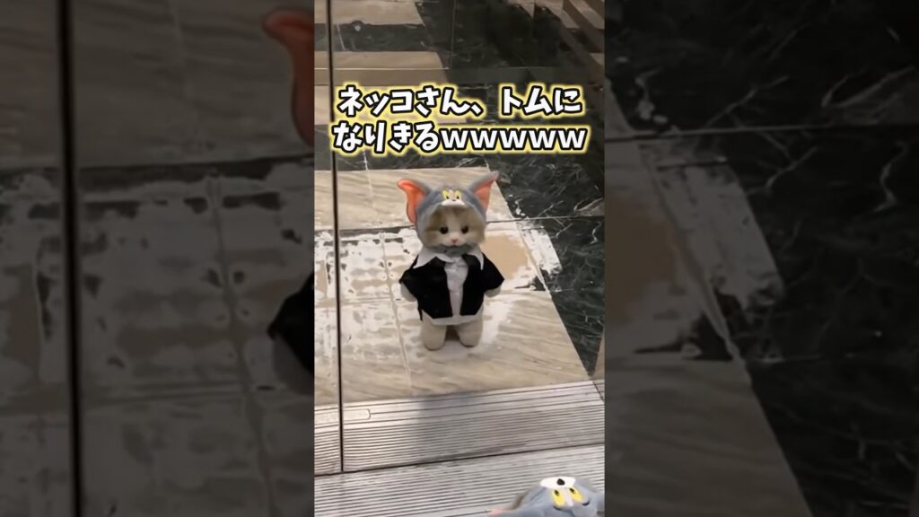 ネッコの動画見てニヤけたら負けwww #猫 #猫のいる暮らし #ペット #かわいい #癒し #動物 #2ch動物スレ