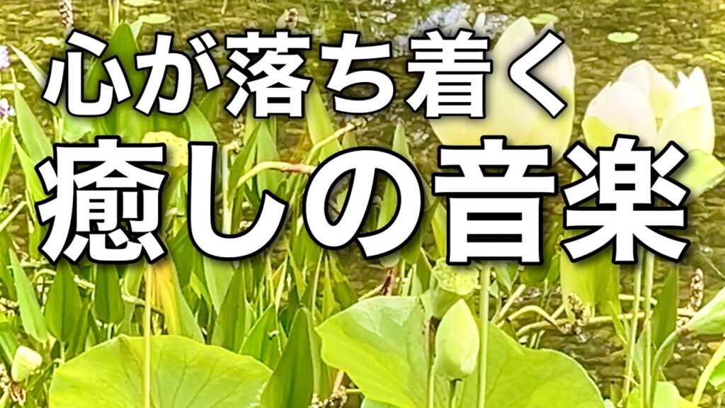 【癒しの音楽】心が落ち着くリラックス音楽、自律神経を整え不安やストレス解消のためのヒーリングミュージック/睡眠用・作業用・勉強用BGM