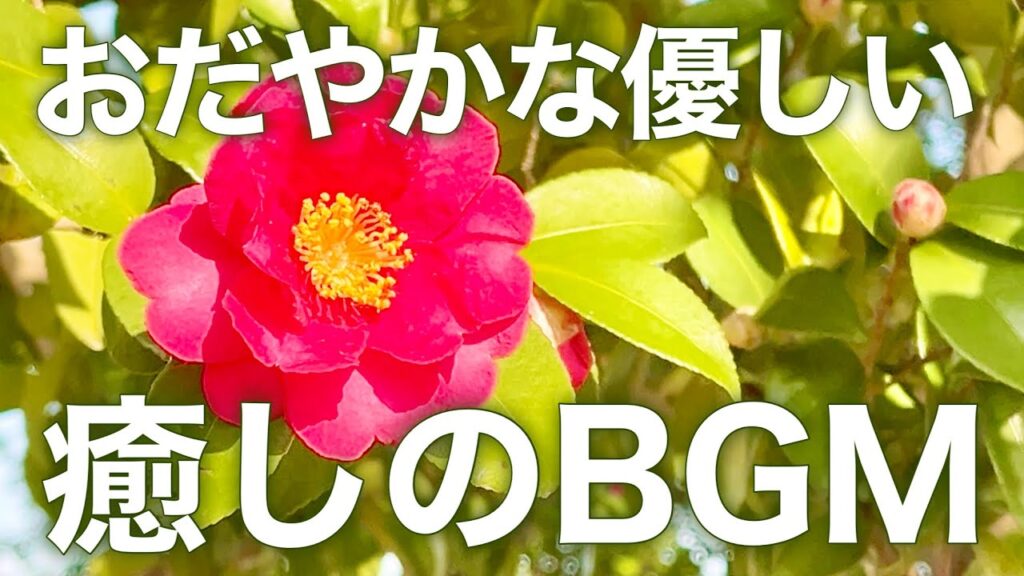 【癒しBGM】自律神経を整え心が落ち着くリラックス音楽、不安やストレス解消のためのヒーリングミュージック/睡眠用・作業用・勉強用BGM