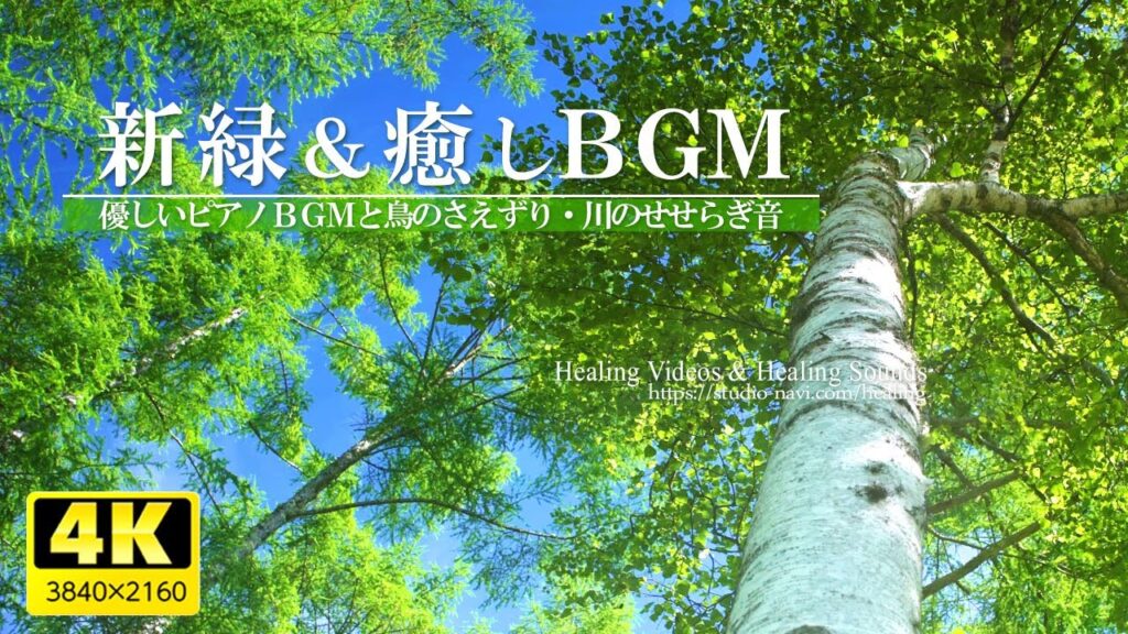 【4K】爽やかな新緑と癒しBGM – VOL.3（鳥のさえずり・川のせせらぎ）疲れた心身の回復・リラックス効果・勉強中や作業用、目覚めの朝に、眠れない夜にもどうぞ。