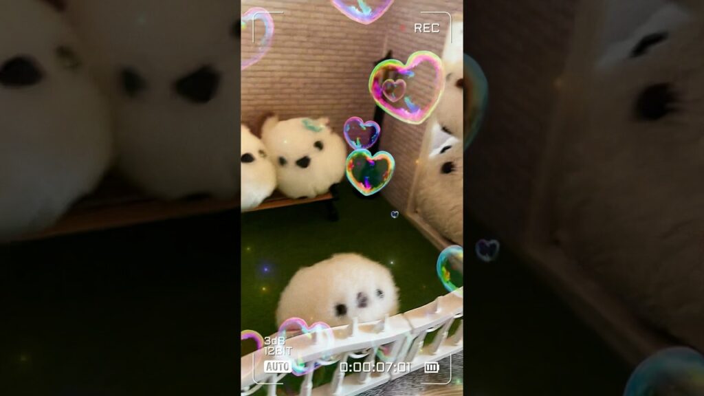 頭空っぽにしてみる動画　#shorts #癒し #cute