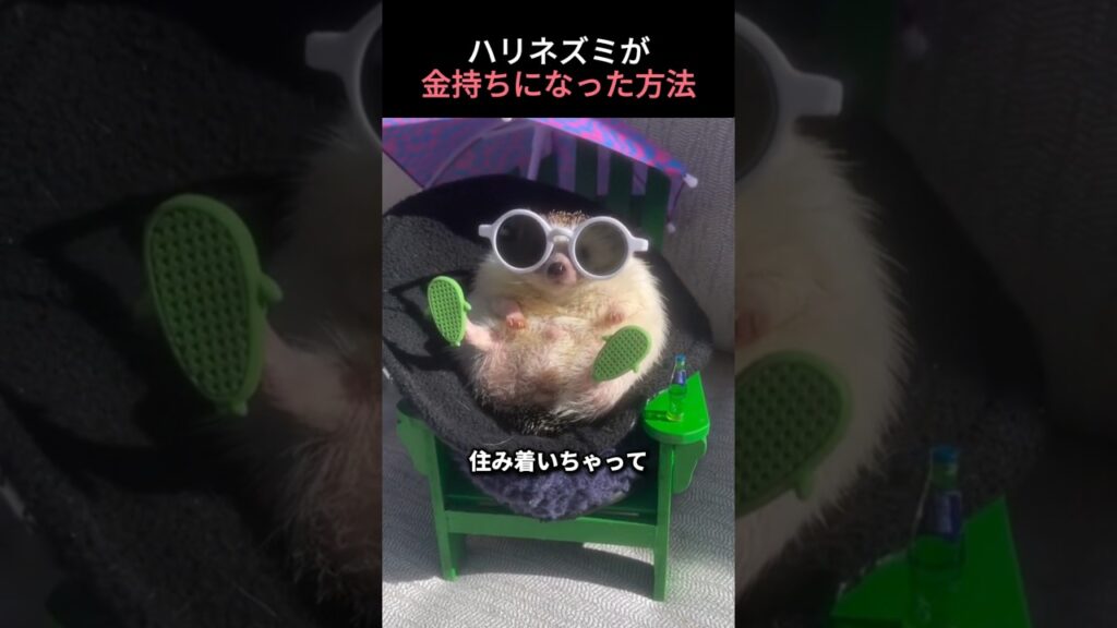 ハリネズミが金持ちになった方法…
