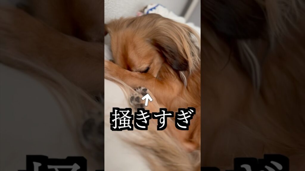 かきすぎて顔に穴が空いた！