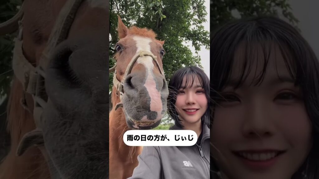 #馬 #癒し #かわいい  #動物