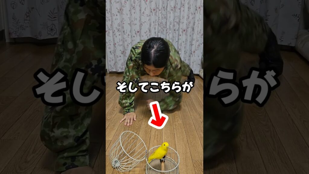 元女性自衛官芸人のプランクチャレンジ