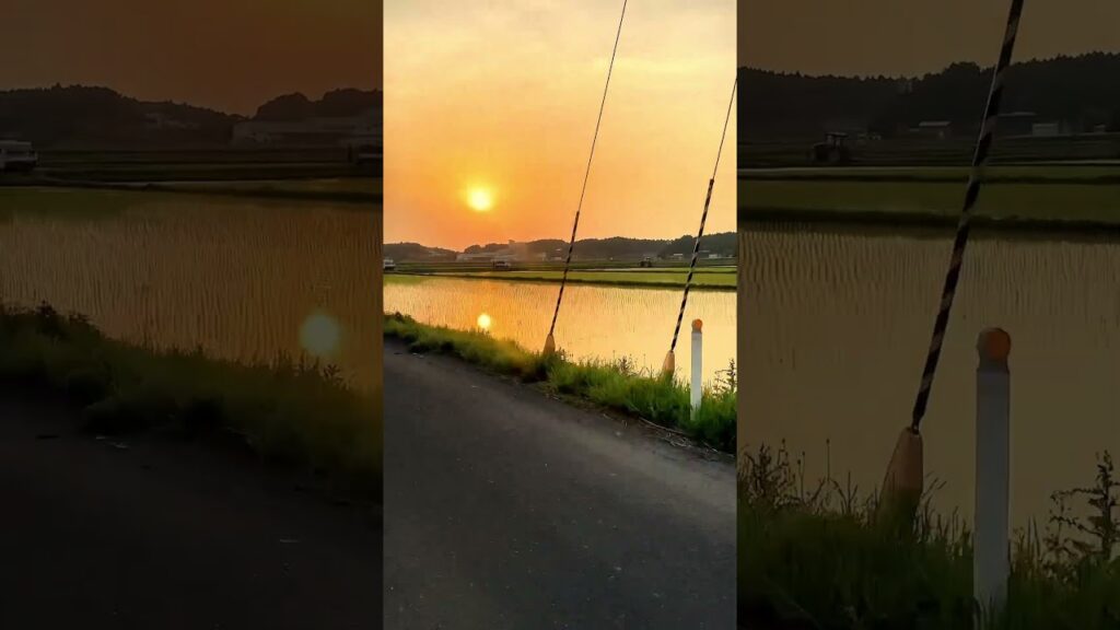 おはようございます♪只今9時！31℃あります
