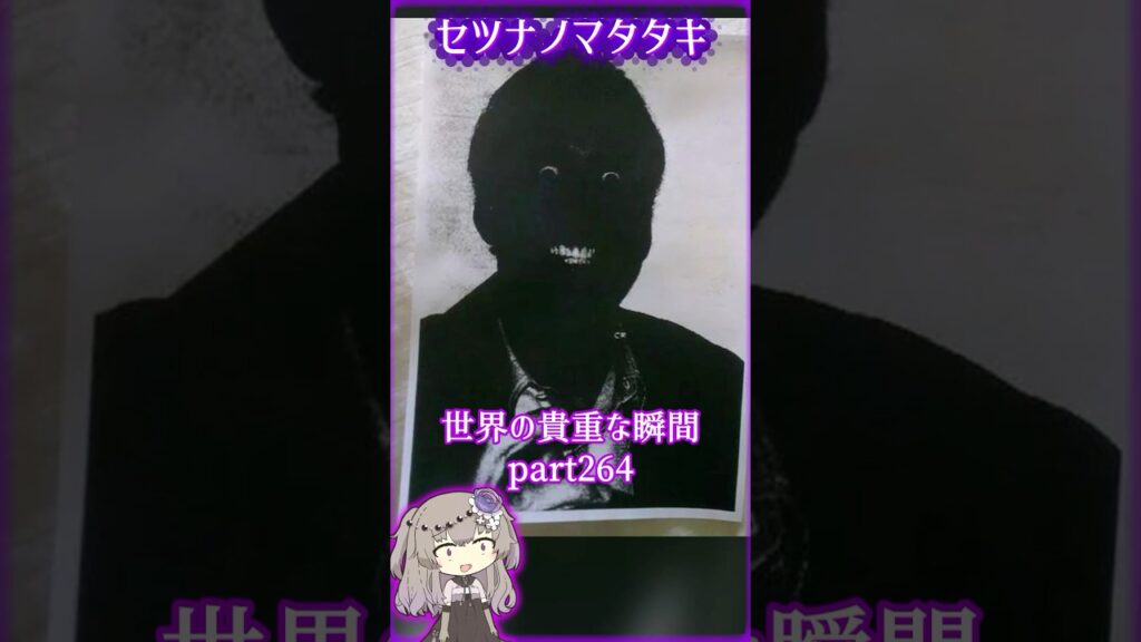 あなたがきっと驚く世界の貴重な瞬間part264 #写真  #voicevox #didyouknow #面白い #shorts #雑学 #癒し #1分雑学 #冥鳴ひまり