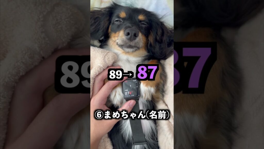 心躍らないのは〇〇〇だった