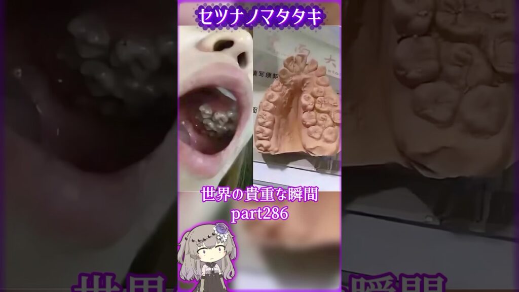 あなたが見たことないであろう 世界の貴重な瞬間part286 #写真  #voicevox #didyouknow #面白い #雑学 #癒し #shorts #1分雑学 #冥鳴ひまり