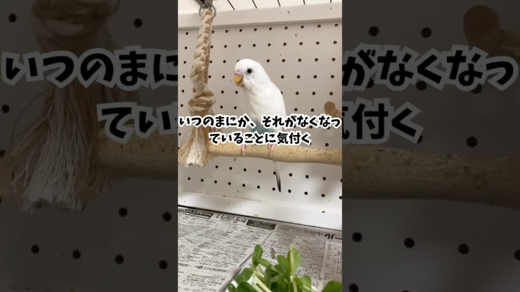 消えゆくもの