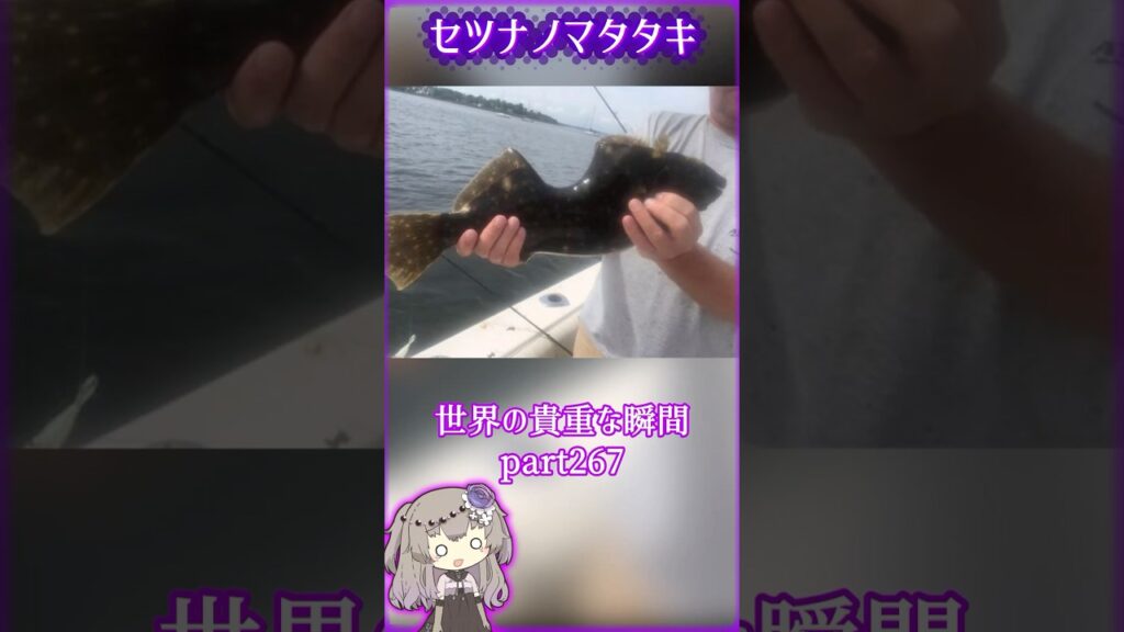 あなたがきっと驚愕する世界の貴重な瞬間 part267 #写真  #voicevox #didyouknow #面白い #雑学 #癒し #1分雑学 #トリビア #冥鳴ひまり