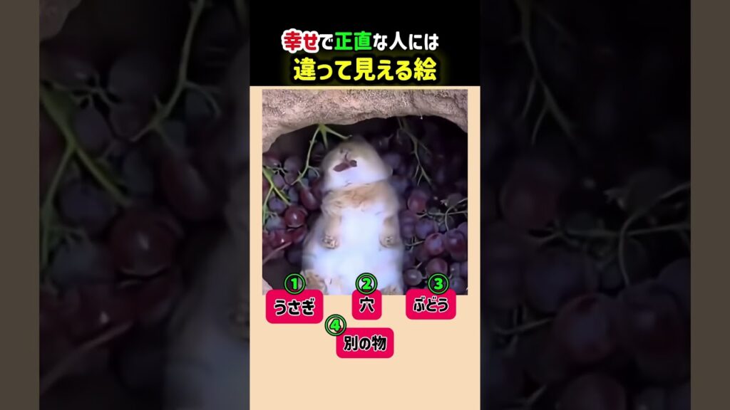 幸せで正直な人には違って見える絵　＃動物　＃癒し　#うさぎ