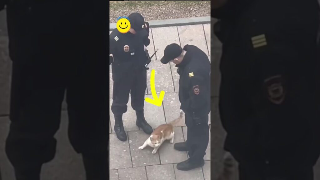 突然割り込む警察官の巡回に現れた猫!? 🐾