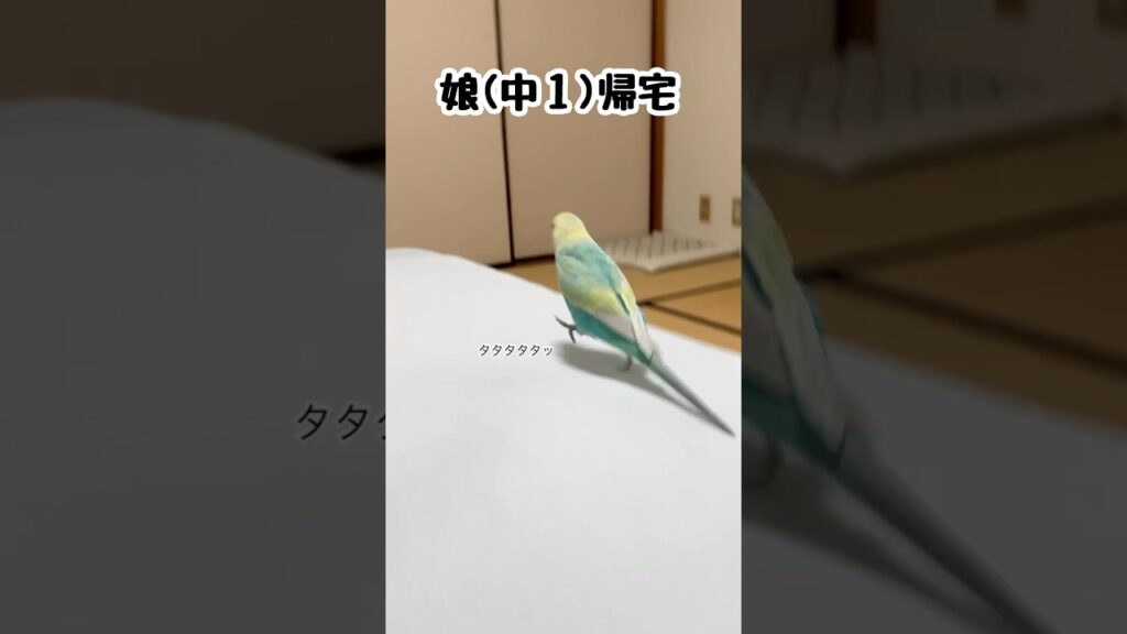 待ち人来たる