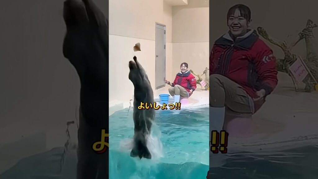 飼育員 (しいく