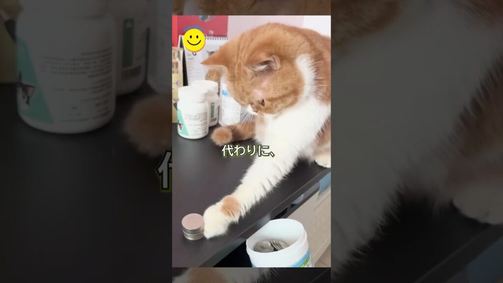 小銭を入れるネコが可愛すぎる！