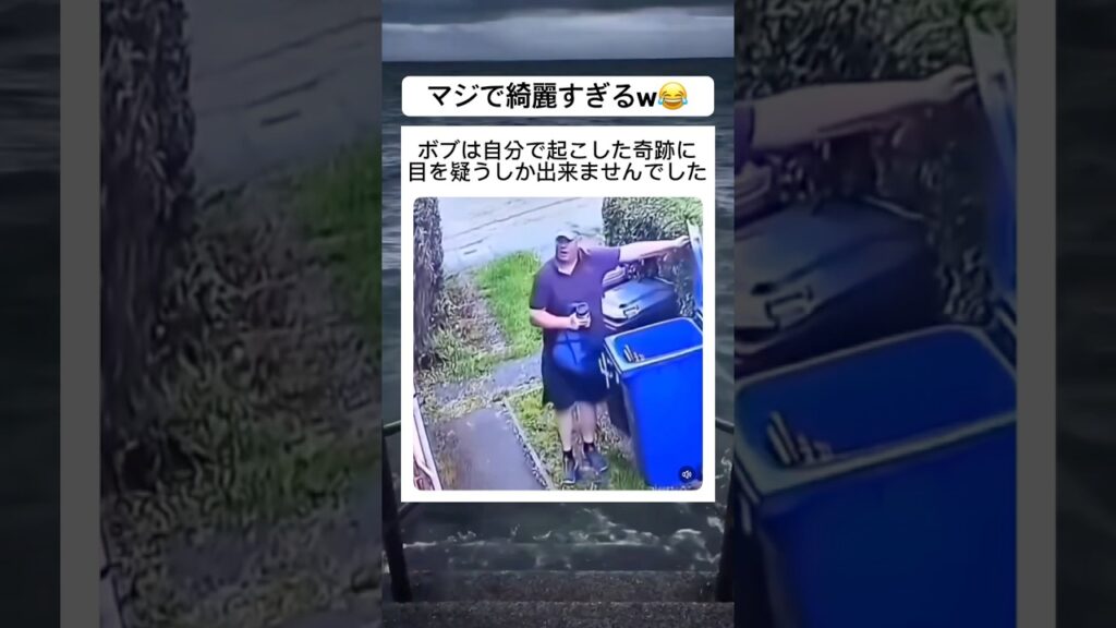 ボブは自分で起こした奇跡に目を疑う #癒し #音楽 #バズれ #チャンネル登録お願いします #shorts #short