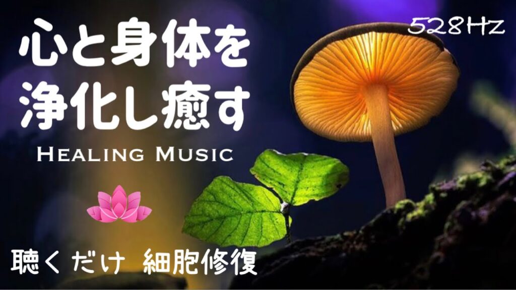 【癒しBGM】聴くだけ｜心と身体を浄化し癒す｜ソルフェジオ周波数528Hz｜雨・雷音源入り｜疲れを癒す