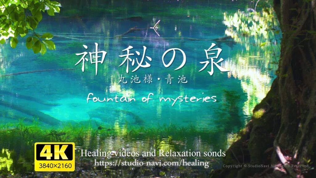 【癒し・4K風景映像／実写】神秘の泉・丸池様 ＆ 日本初の世界遺産『白神山地』十二湖・青池／疲れた心身の回復にどうぞ。Relaxation video & natural sound 8 hours