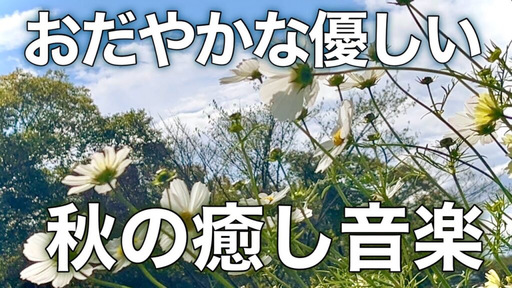 【癒しBGM】心が落ち着く優しいリラックス音楽、自律神経を整え不安やストレス解消のためのヒーリングミュージック/睡眠用・作業用・勉強用BGM