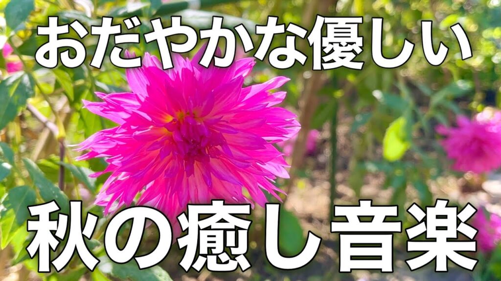 【癒しBGM】心が落ち着く優しいリラックス音楽、自律神経を整え不安やストレス解消のためのヒーリングミュージック/睡眠用・作業用・勉強用BGM