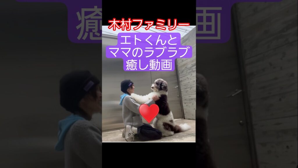 #癒し動画 #工藤静香 #木村ファミリー #木村拓哉