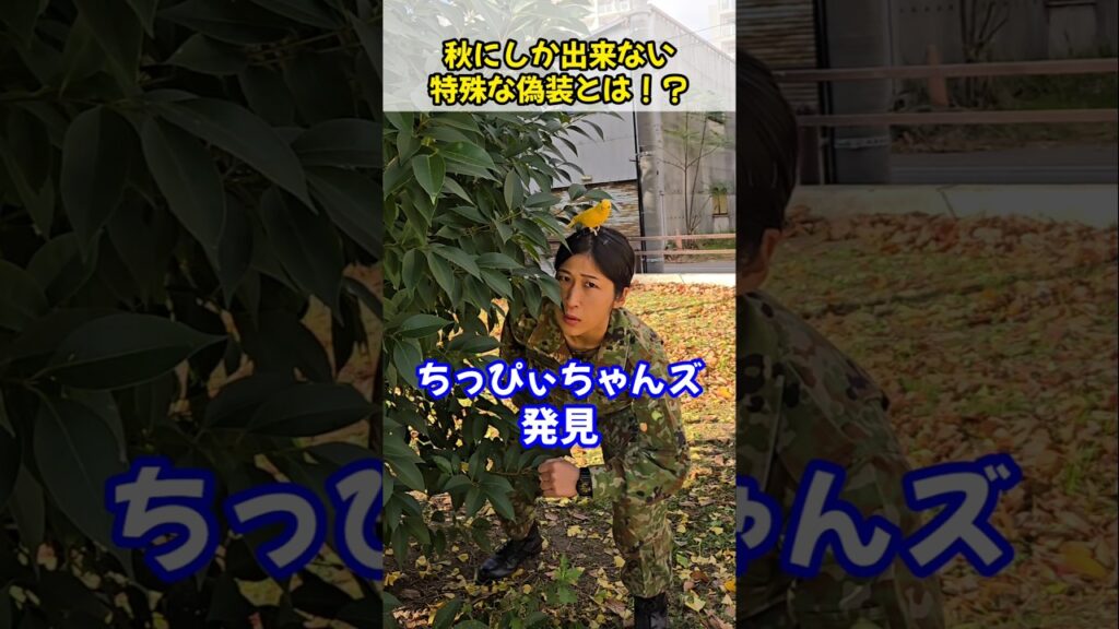 秋にしか出来ない特殊な偽装とは！？