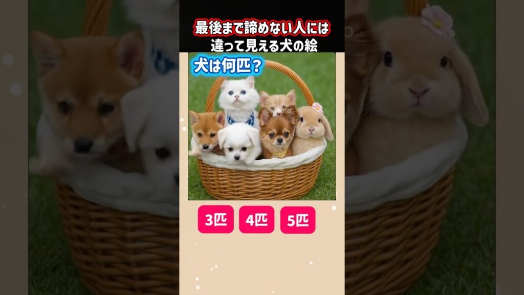 最後まで諦めない人には違って見える犬の絵 #柴犬 #脳トレ #癒し