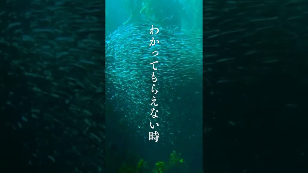 【わかってもらえない時】 #shorts #名言 #言霊 #引き寄せ #人生 #癒し