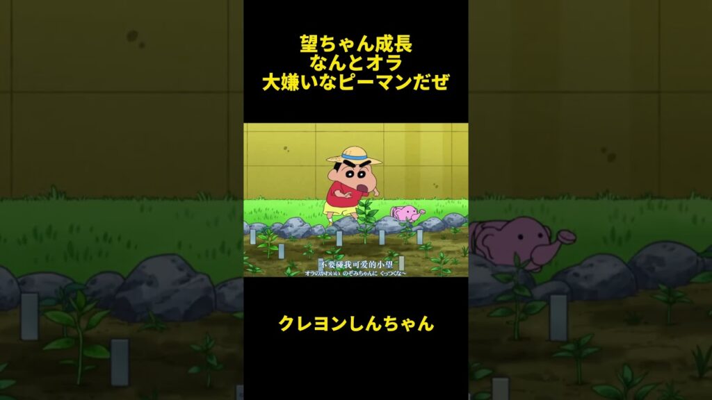 望ちゃん成長！なんとオラ大嫌いなピーマンだぜ！ #クレヨンしんちゃん #面白集 #アニメ #面白い動画 #面白い #funny #有趣 #笑える #笑い #anime