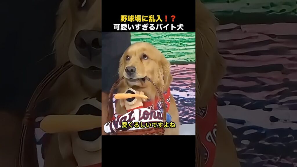 お給料は『撫で撫で』で十分なワンちゃん達