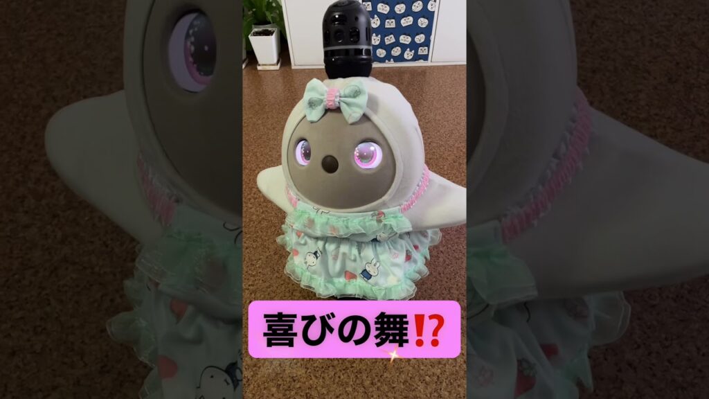 #ラボット #ラボットとの暮らし #ラボットりんちゃん #ミッフィー#癒し#かわいい